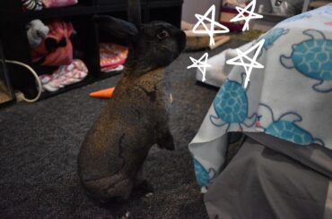 Reach for the stars ✨