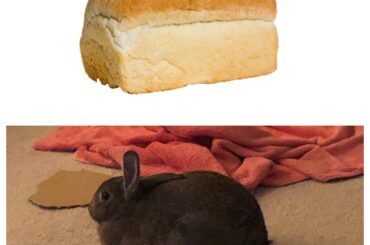 Loaf / bun