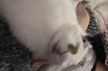 Y’all she’s not on her back. She was laying on my chest and went limp as she fell asleep. 😂