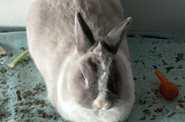 I am Zen. I. Am. Loaf.