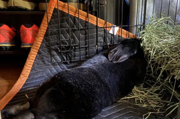 How is this comfortable?