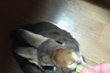 Gettin that snack!!♥️