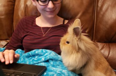 Rabbit Downey Jr standing/looking around! :)