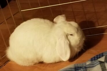 maybe a little underbaked? the dough is too fluffy to tell