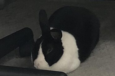 When you feel like you have been working for hours but you look at the clock and only 30 minutes has passed: