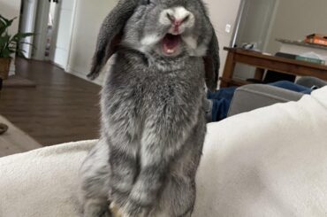 AAAAAAAAAAAAAAAAAAAA