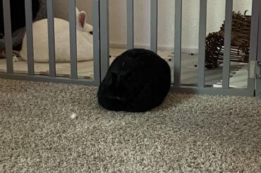 I would like to introduce you all to the endless void