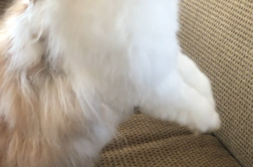 Her balance is impeccable