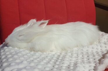 After a long afternoon of doing nothing