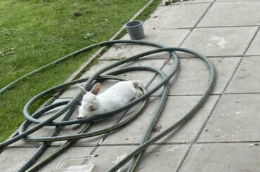Uh how r u laying in the middle of a bunch of disorganized hose
