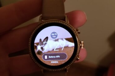 I bring my hopnoodle everywhere with me