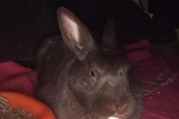 Bread loaf in the dark 🗿🍞