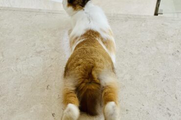 The opposite of loafing? Or can I call this ‘baguetteing’?