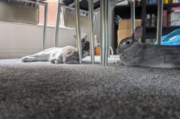Buncomfortable chair leg.