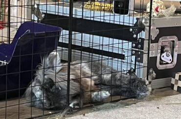 super relaxed with feet sticking out