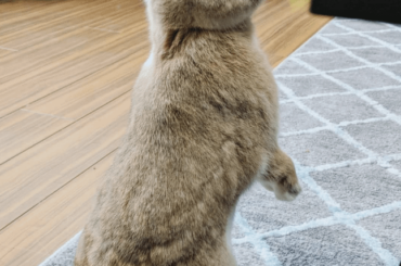 Is there any food here?