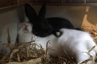 At least one of them looks comfortable 😅