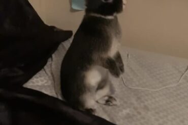 scoping for pooping places