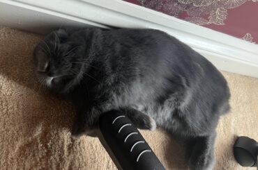 I can’t move until he wakes up