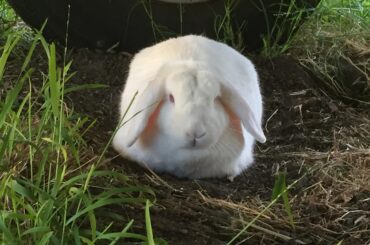 She’s still a bit underdone, needs a little more time to bake.