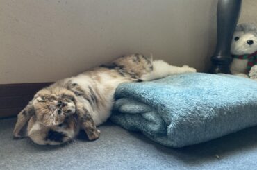 When the bed’s too hot, but you wanna be comfy