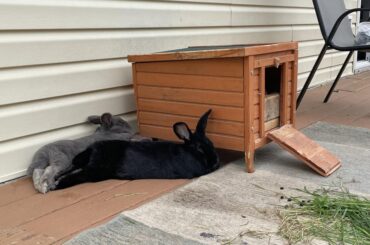 brick for a pillow... sure!