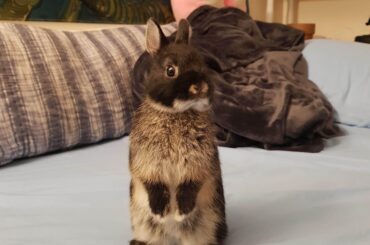 She likes to feel tall