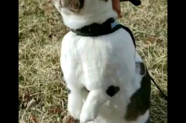 His feet tho... 😊