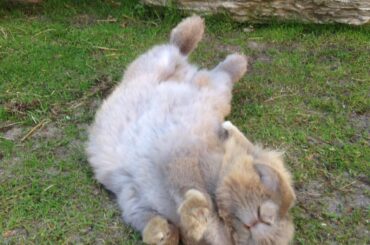 (b)uncomfortable position for this silly thing