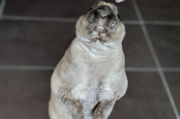 "Don't mind if I do"