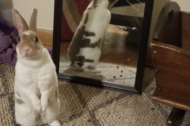 What're you lookin at?