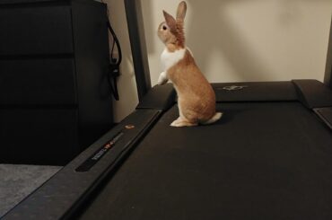 Leonardo Watching TV