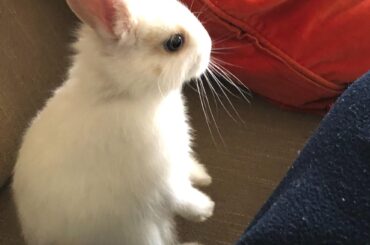 Does this count? He might be sitting.