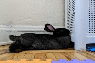 ah yes let me just squish myself in
