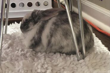 new loafer here 😎