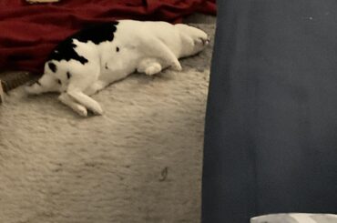 She’s passed out!