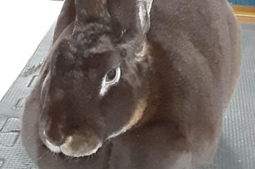 Daisy where did your arms go?