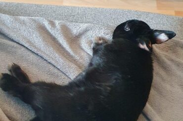 Just chilling with mum