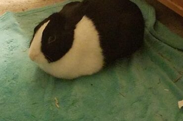 Bad lighting, Great loaf!
