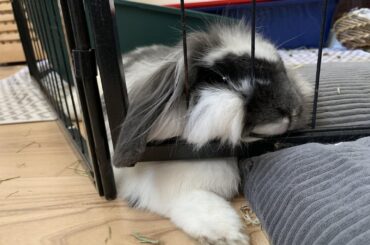 Ahhh so comfortable