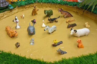 Cute Animal Rabbit Big Sheep African Elephant Wild Animals Farm Animals Stuck in the Sandbox