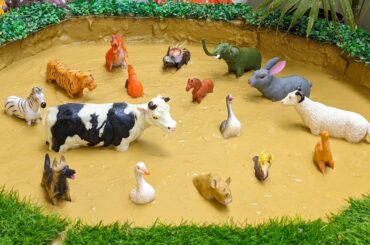 Cute Farm Animal Cow Big Animals Sheep Rabbit Elephant Farm Animals Zoo Animals Stuck in Mud