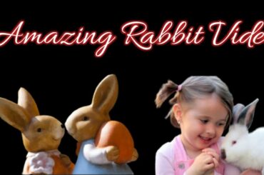 Cute Baby Rabbits Playing,Feeding Activities | Bunny Rabbit (Baby Rabbits) mahiali335''