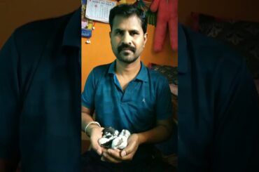 CUTE BABY RABBIT#shorts #rabbit #viral #ytshorts