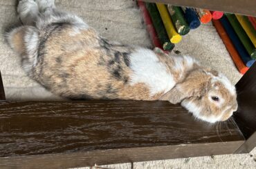 When you’ve already flopped, but want a head rest