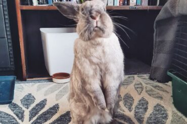 What a beautiful Stunning 💙