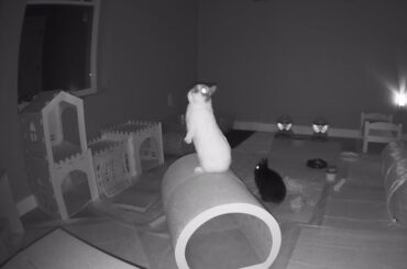 Very curious what she needed to get a look at