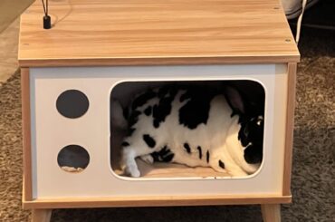 I haven’t posted my other one yet and he just did a qualifying position I’d say