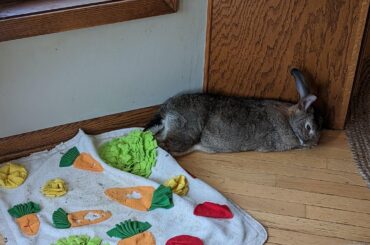 The mat was in his way apparently