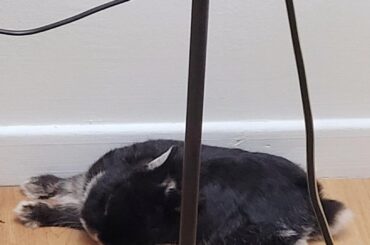 How to get neck pain